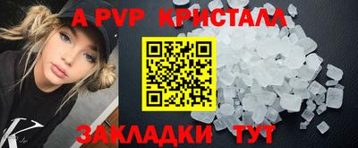 прущие грибы Лесосибирск