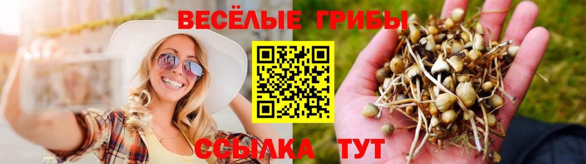 Галлюциногенные грибы Cubensis  Вход с VPN  цены наркотик  Каменск-Шахтинский 